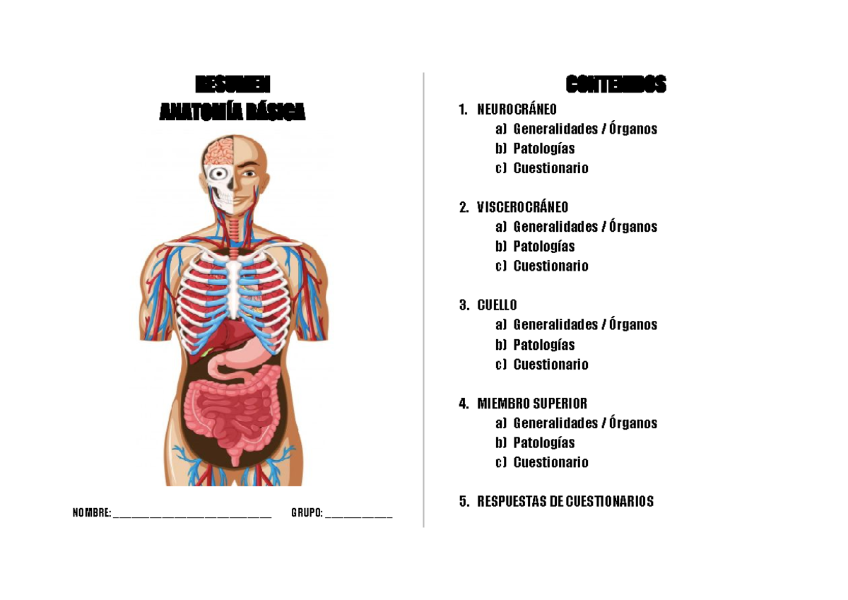 Resumen Anato 1 Completo - RESUMEN ANATOMÍA BÁSICA NOMBRE ...