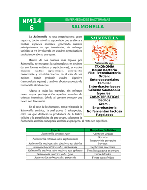 155 Genero Campylobacter - NM15 5 ENFERMEDADES BACTERIANAS GÉNERO ...