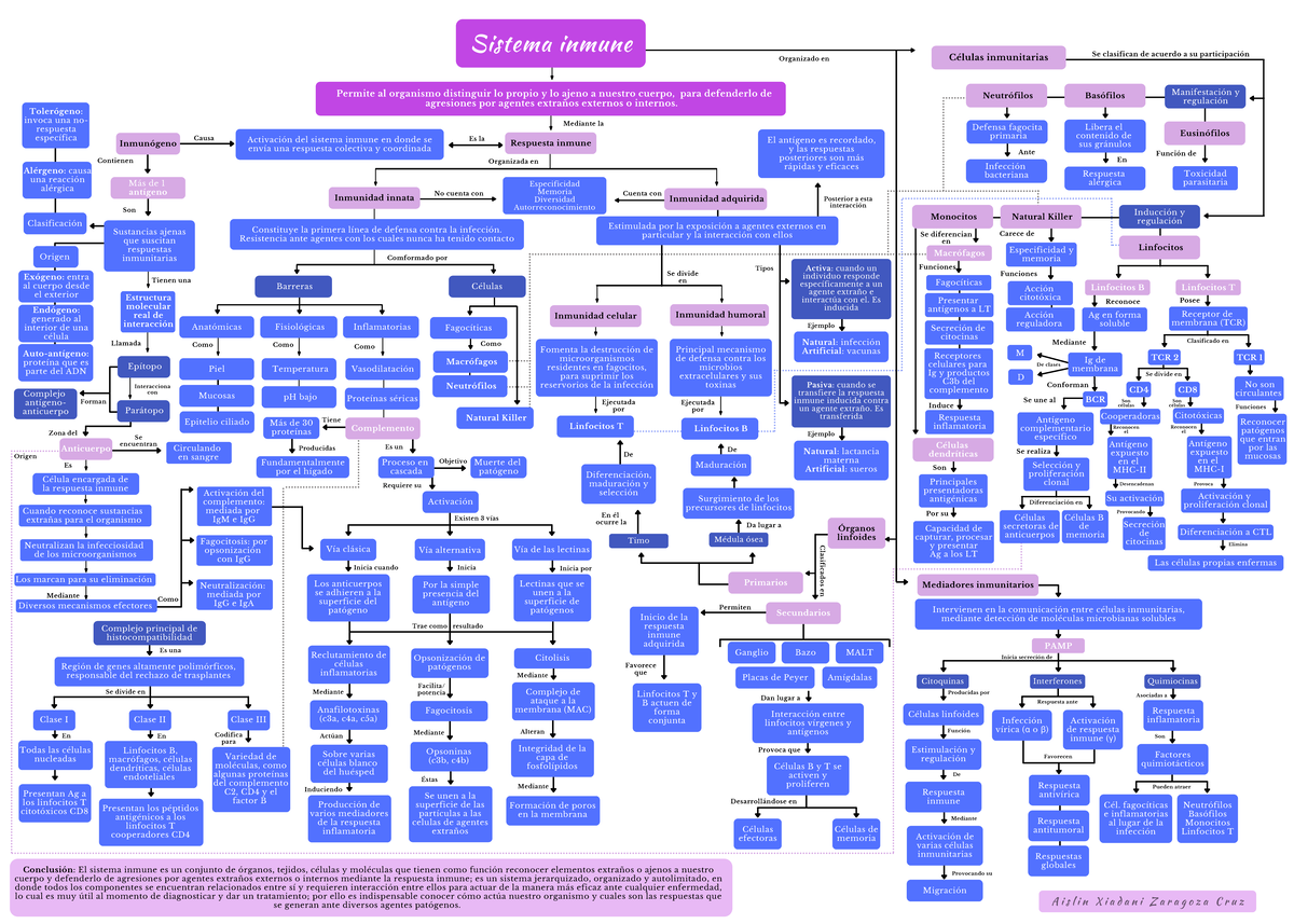 Apuntes De La Materia De Mapa Conceptual Inmunología - Permite Al ...