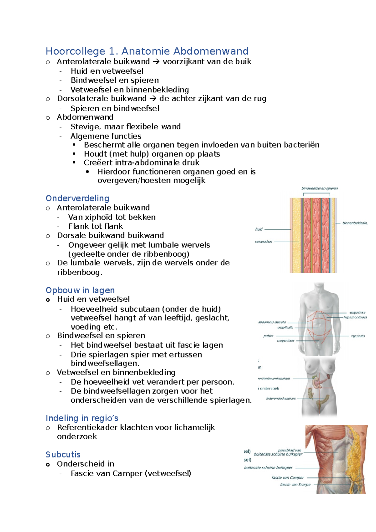 Abdomen - Samenvatting Jbbk - Hoorcollege 1. Anatomie Abdomenwand O ...