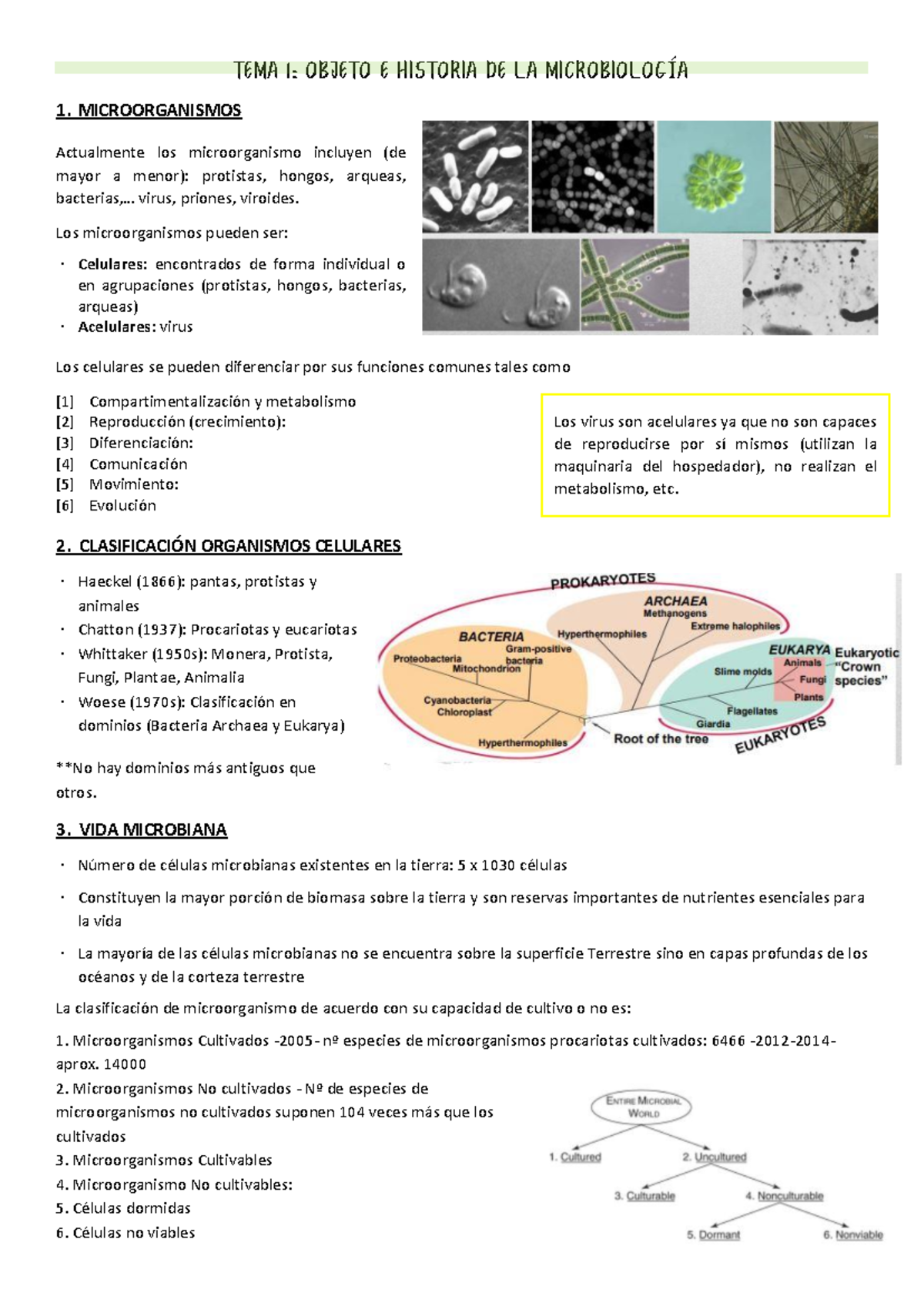 T1 Historia - TEMA 1: OBJETO E HISTORIA DE LA MICROBIOL OGÍA 1 ...