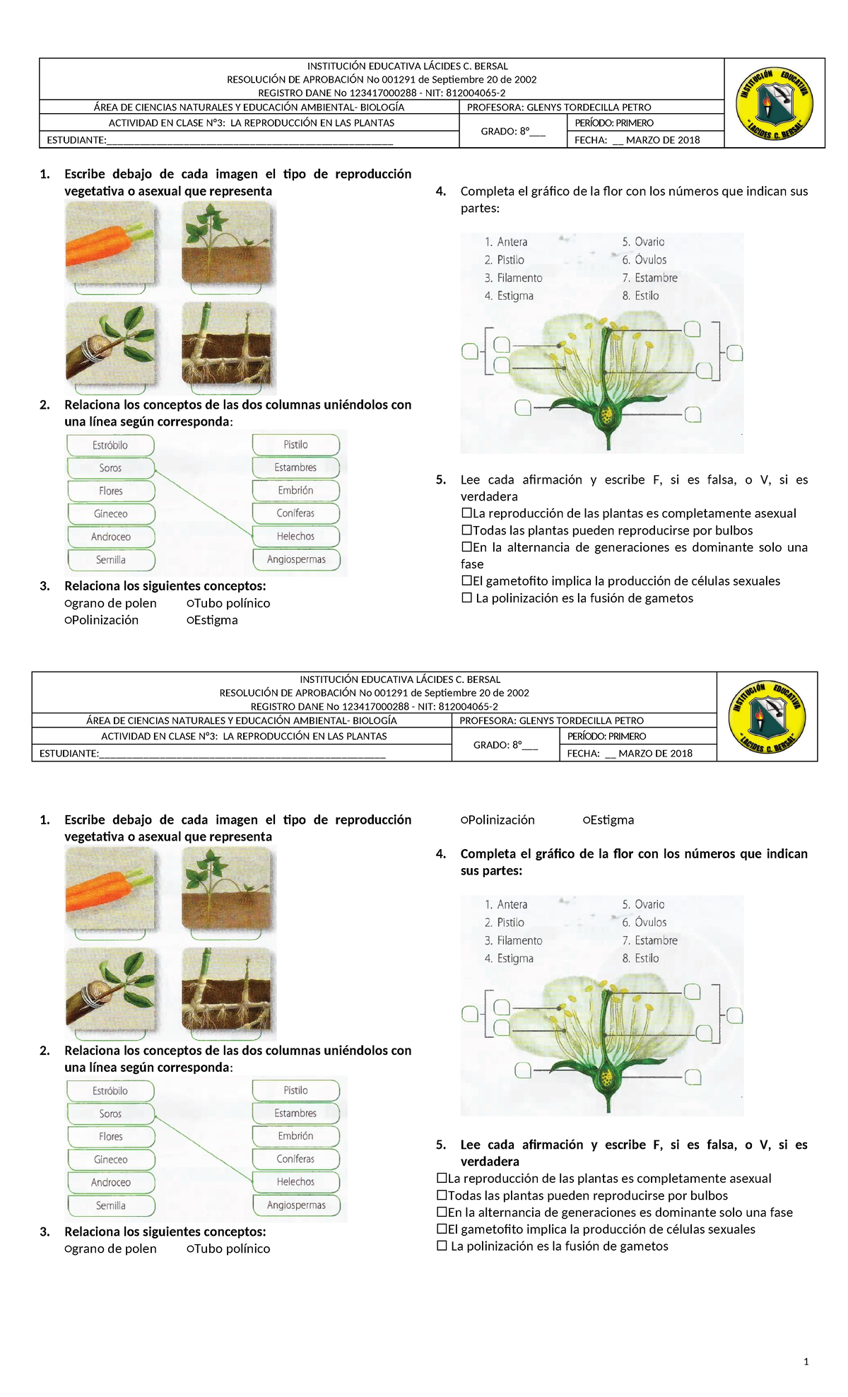 Actividad N°3 Reproducción En Las Plantas InstituciÓn Educativa LÁcides C Bersal ResoluciÓn 7509
