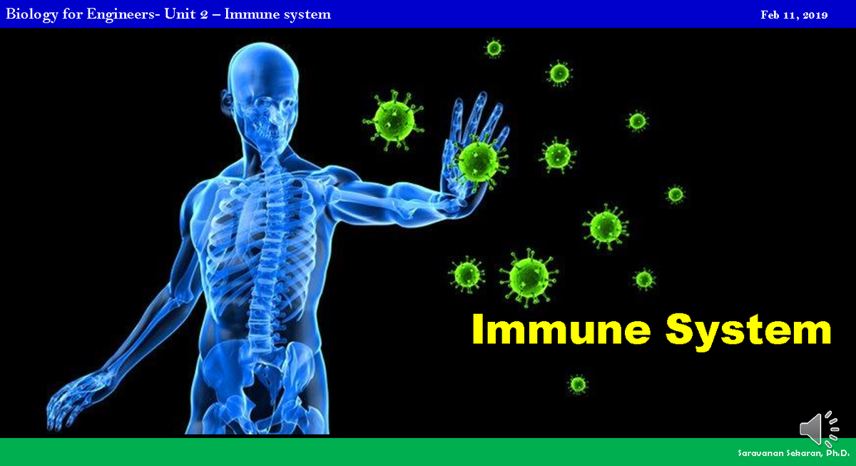 9 Immune system - Immune System One time infection will give you life ...