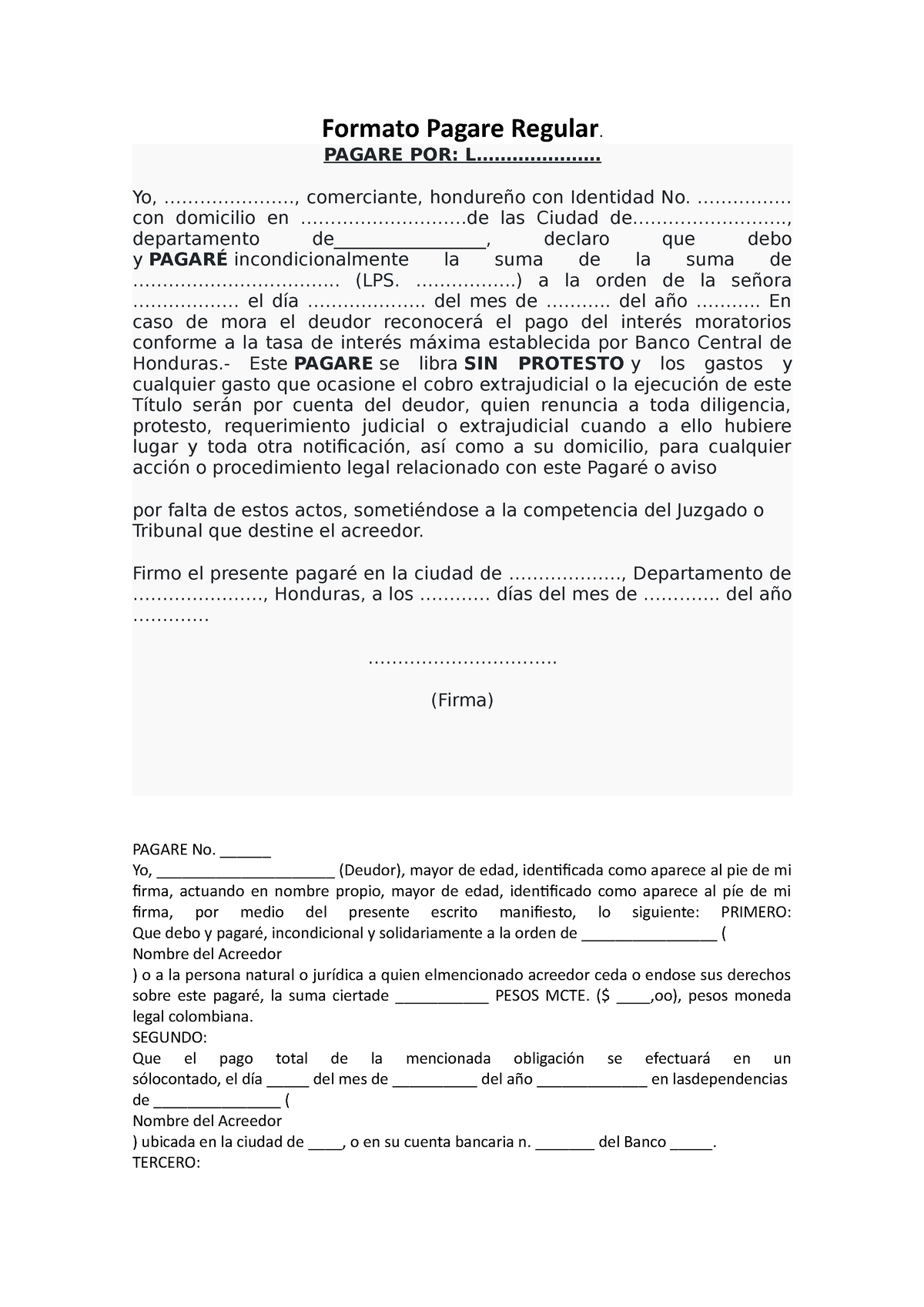 Modelo De Pagare Y Carta De Instrucciones 2023 - vrogue.co