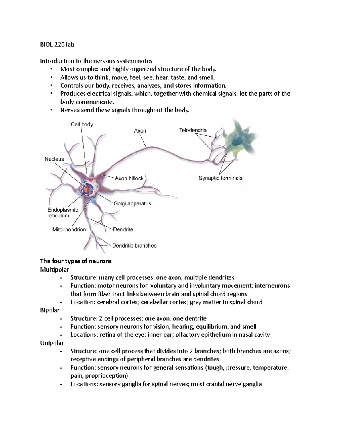 BIOL 220 lab nervous system - BIOL 220 lab Introduction to the nervous ...