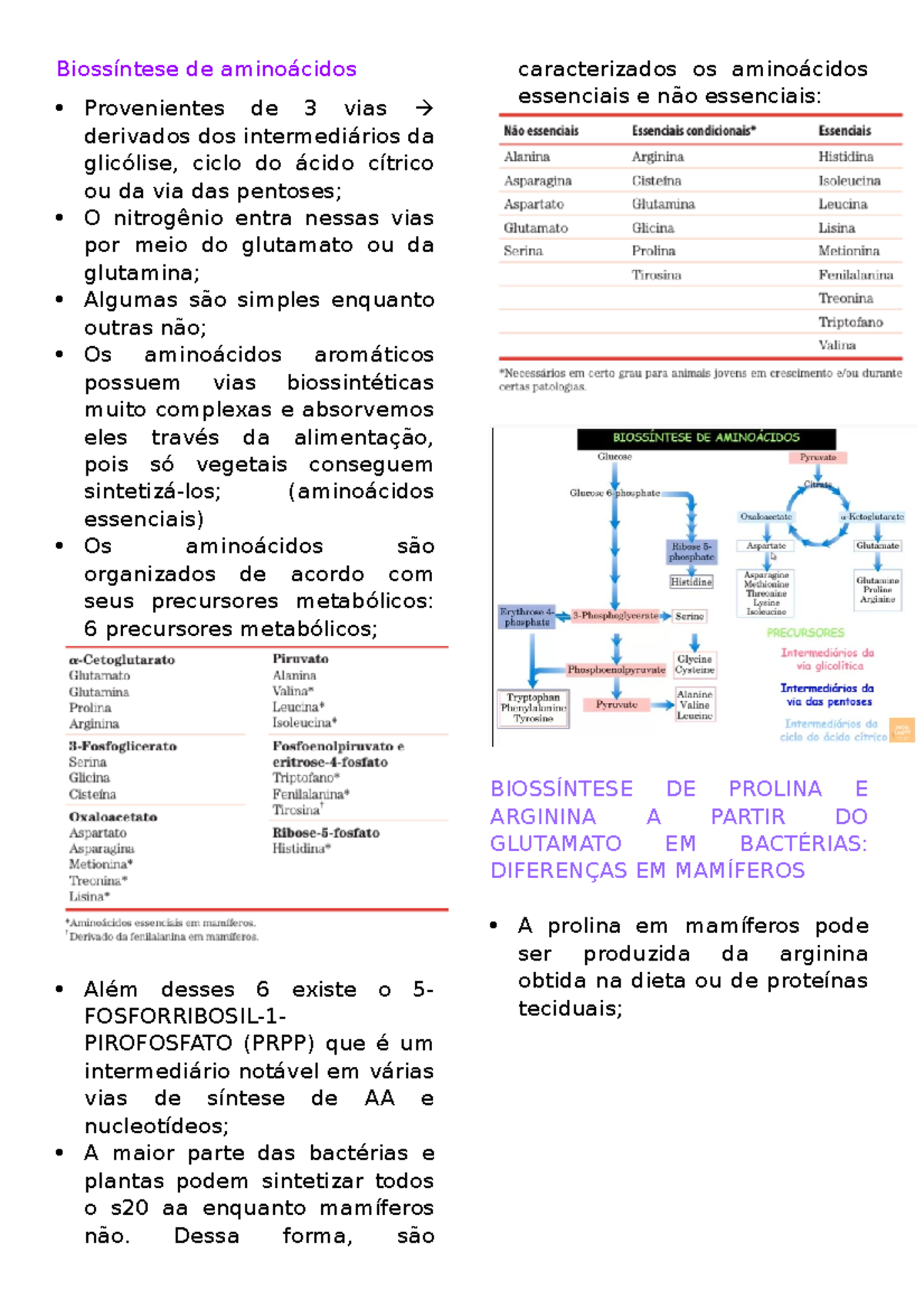 Biossíntese de aminoácidos - Biossíntese de aminoácidos Provenientes de ...