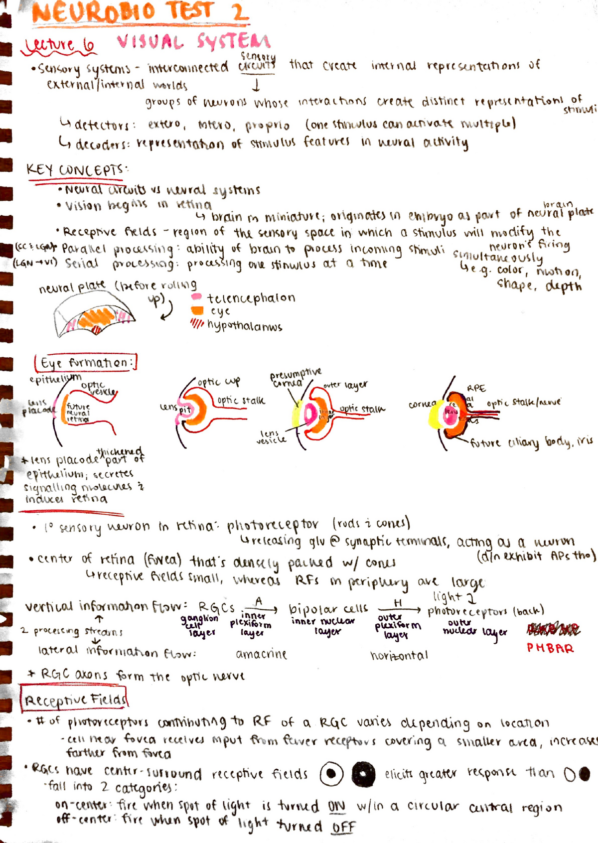 TEST 2 Review - Lecture Notes 6-11 - TEST .W VISUAL , Mean? That ...