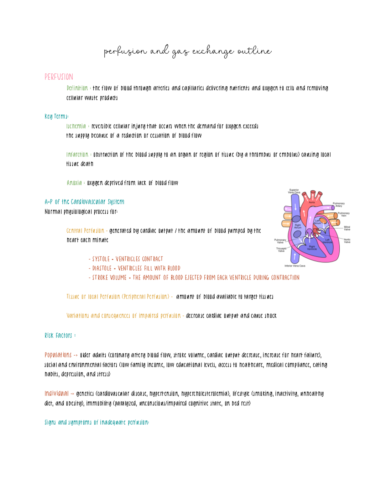 Perfusion And Gas Exchange Perfusion And Gas Exchange Outline