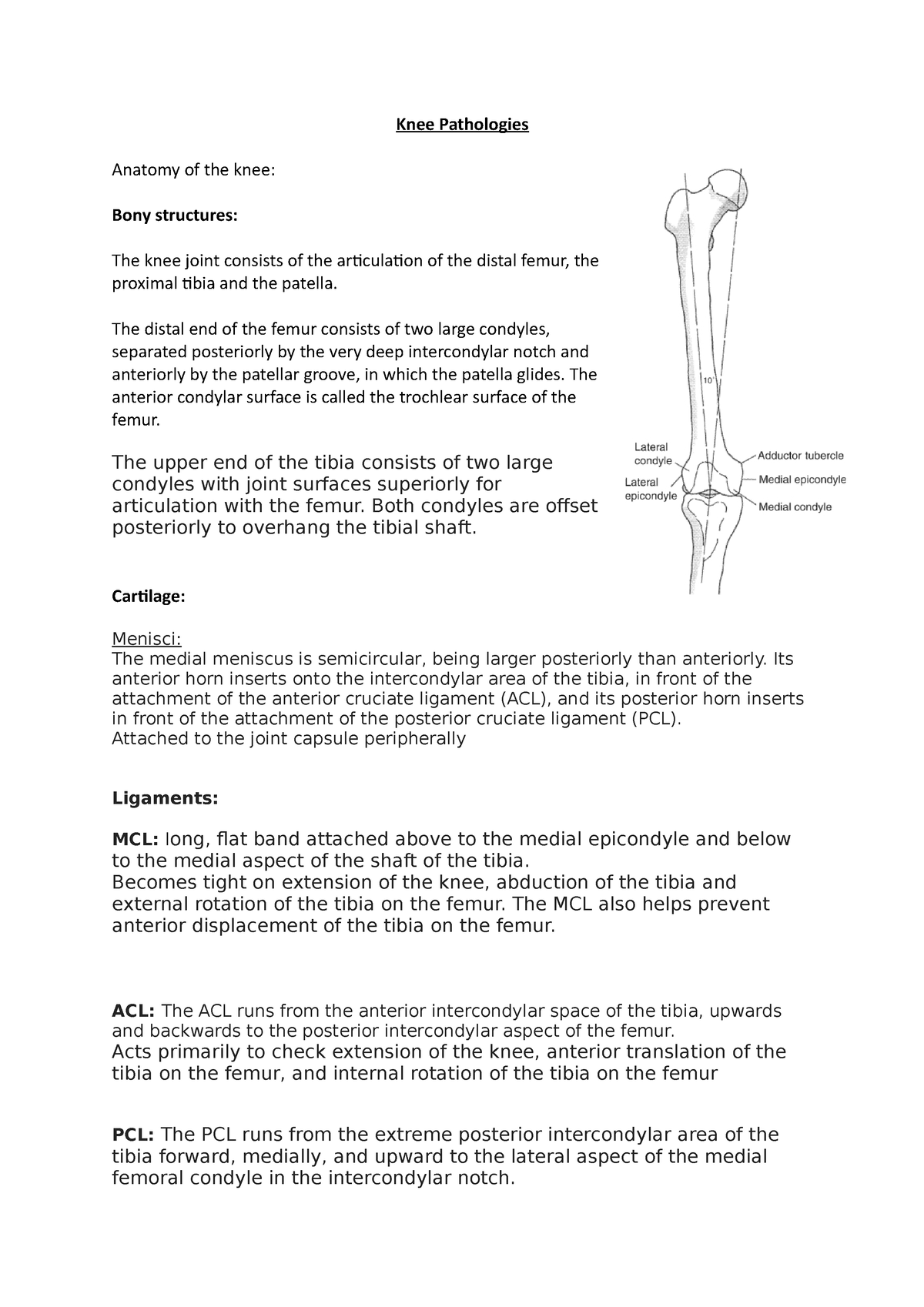 Knee Pathologies Knee Pathologies Anatomy Of The Knee Bony