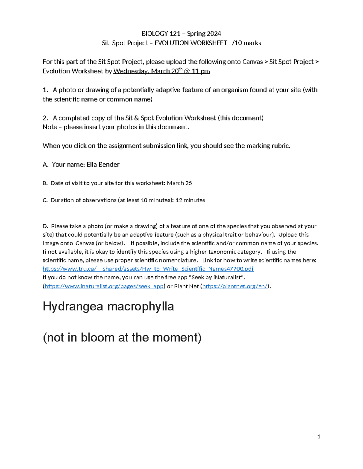 Sit Spot Project Evolution Worksheet Spring 2024 - BIOLOGY 121 – Spring ...
