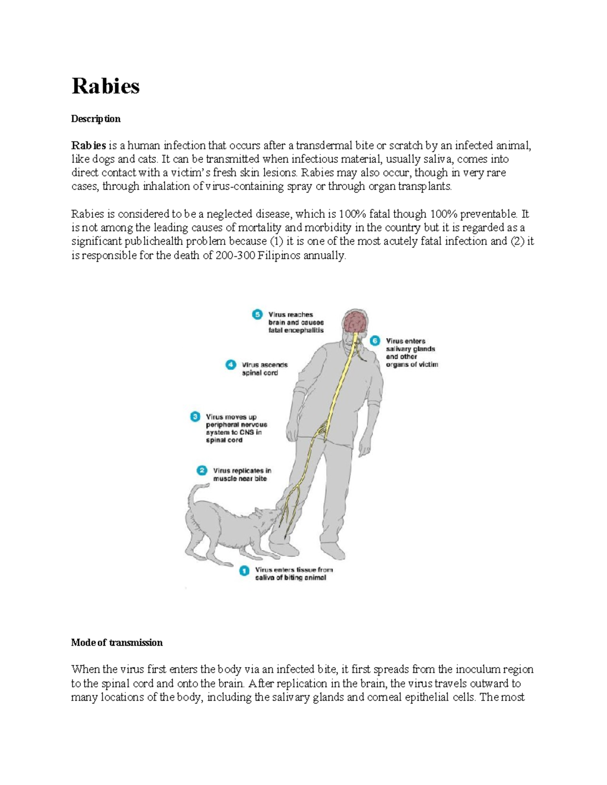numeracy skills - Rabies Description Rabies is a human infection that ...