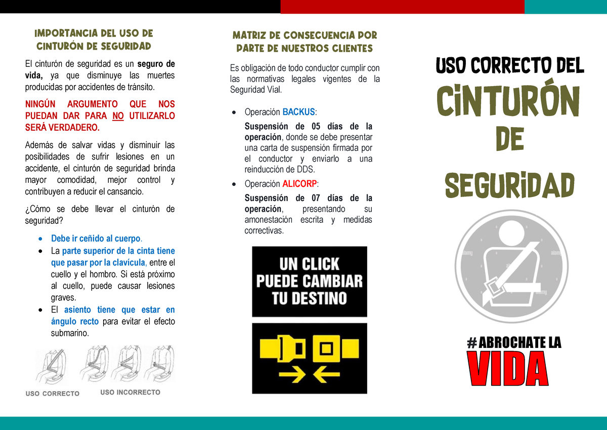 Cuatro usos que puedes darle a tu cinturón de seguridad que quizás no  conocías