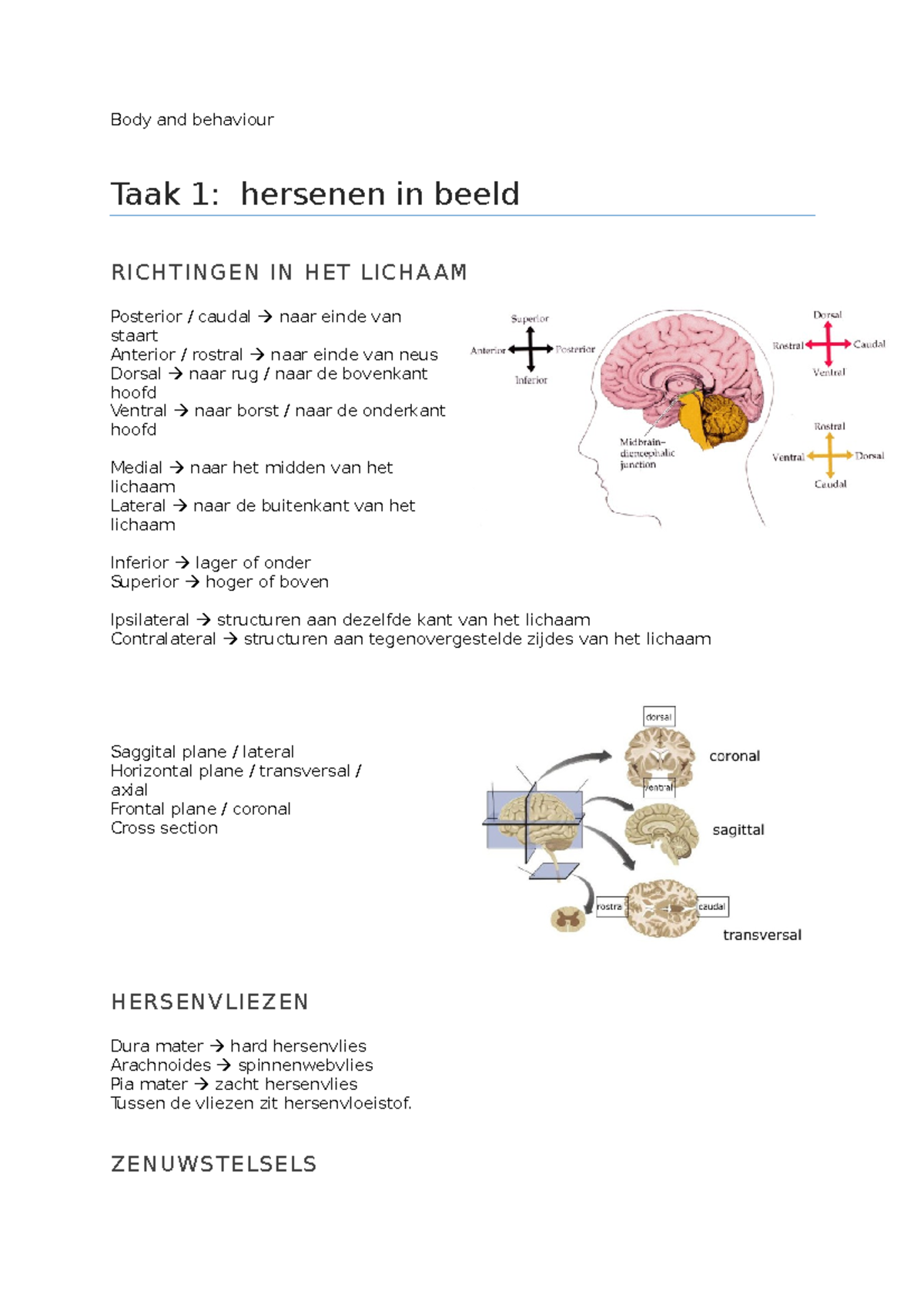 B&B Volledige Samenvatting - Body And Behaviour Taak 1: Hersenen In ...