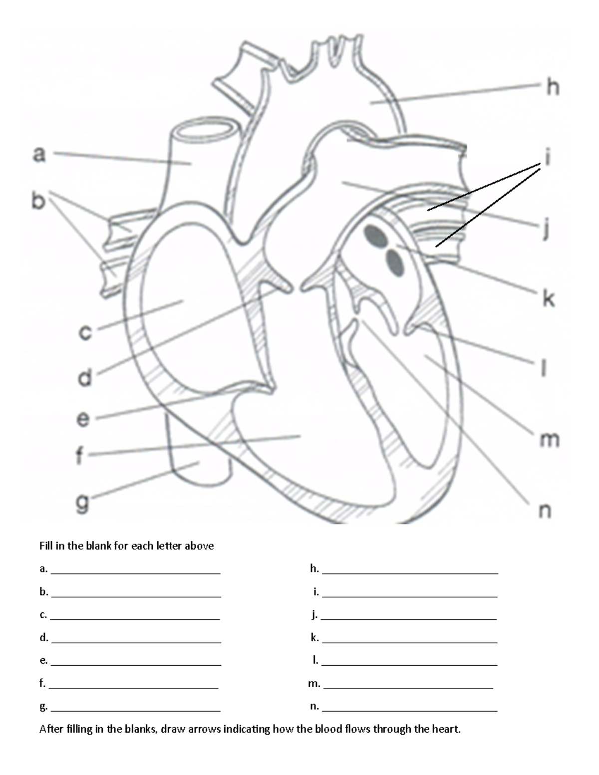 ECG Strips for Class - check - Fill in the blank for each letter above ...