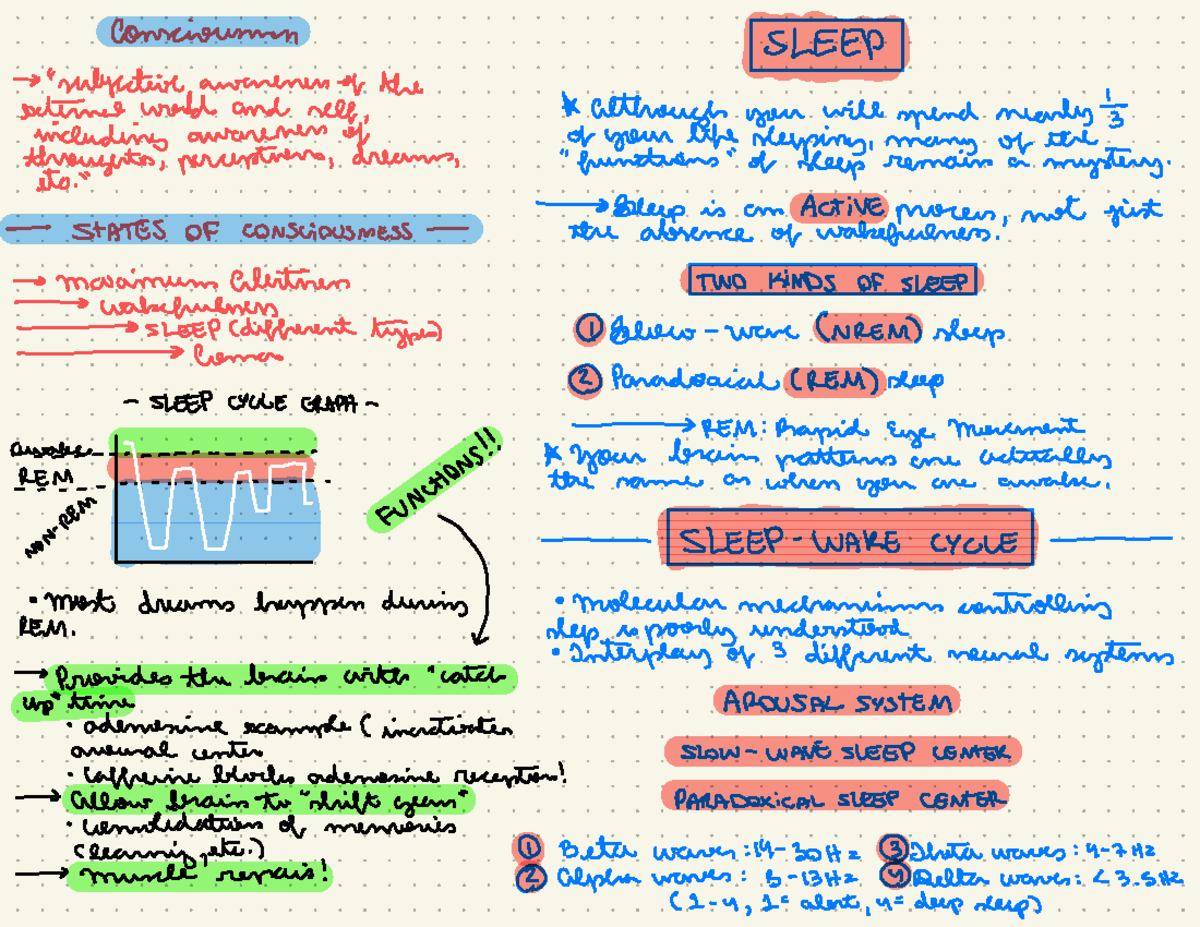 Unit 1: CNS Sleep - ####### Consciousness SLEEP → 