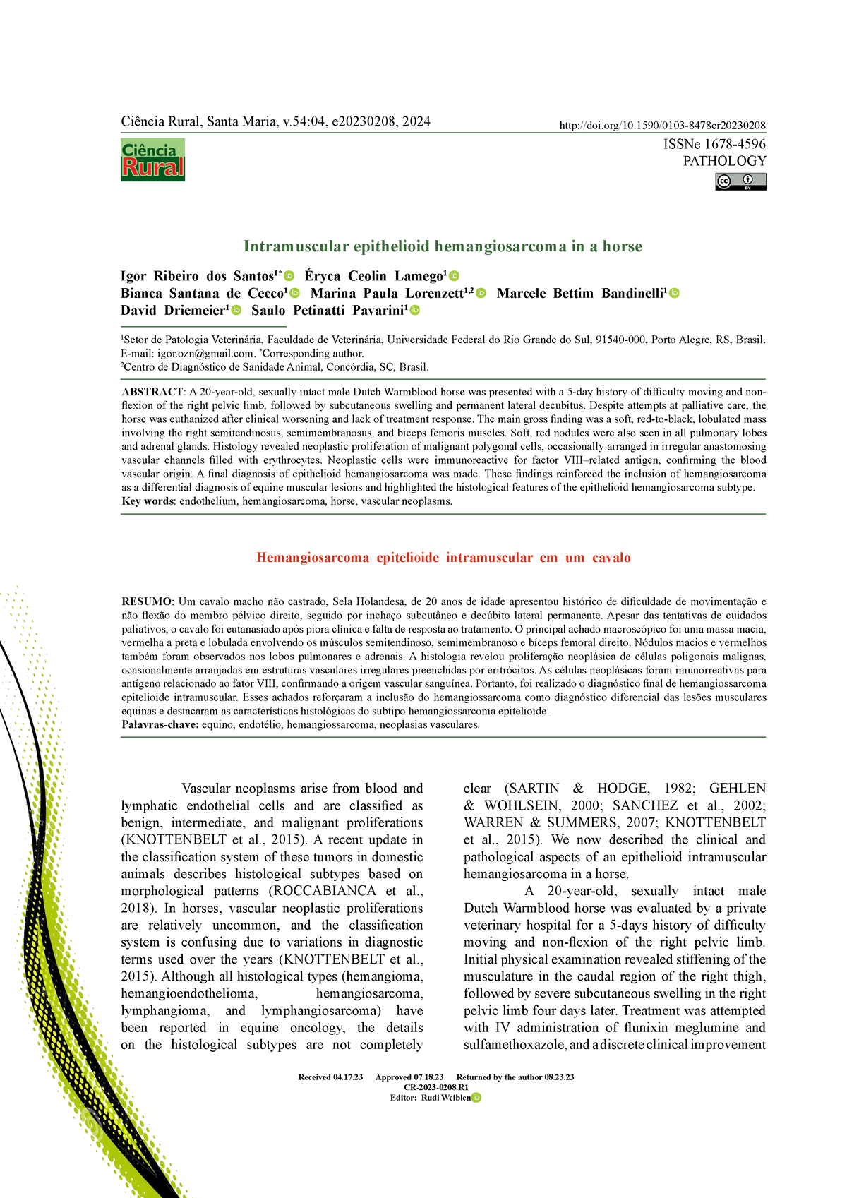 A18 - dsdsd dsdsdsd - Intramuscular epithelioid hemangiosarcoma in a ...