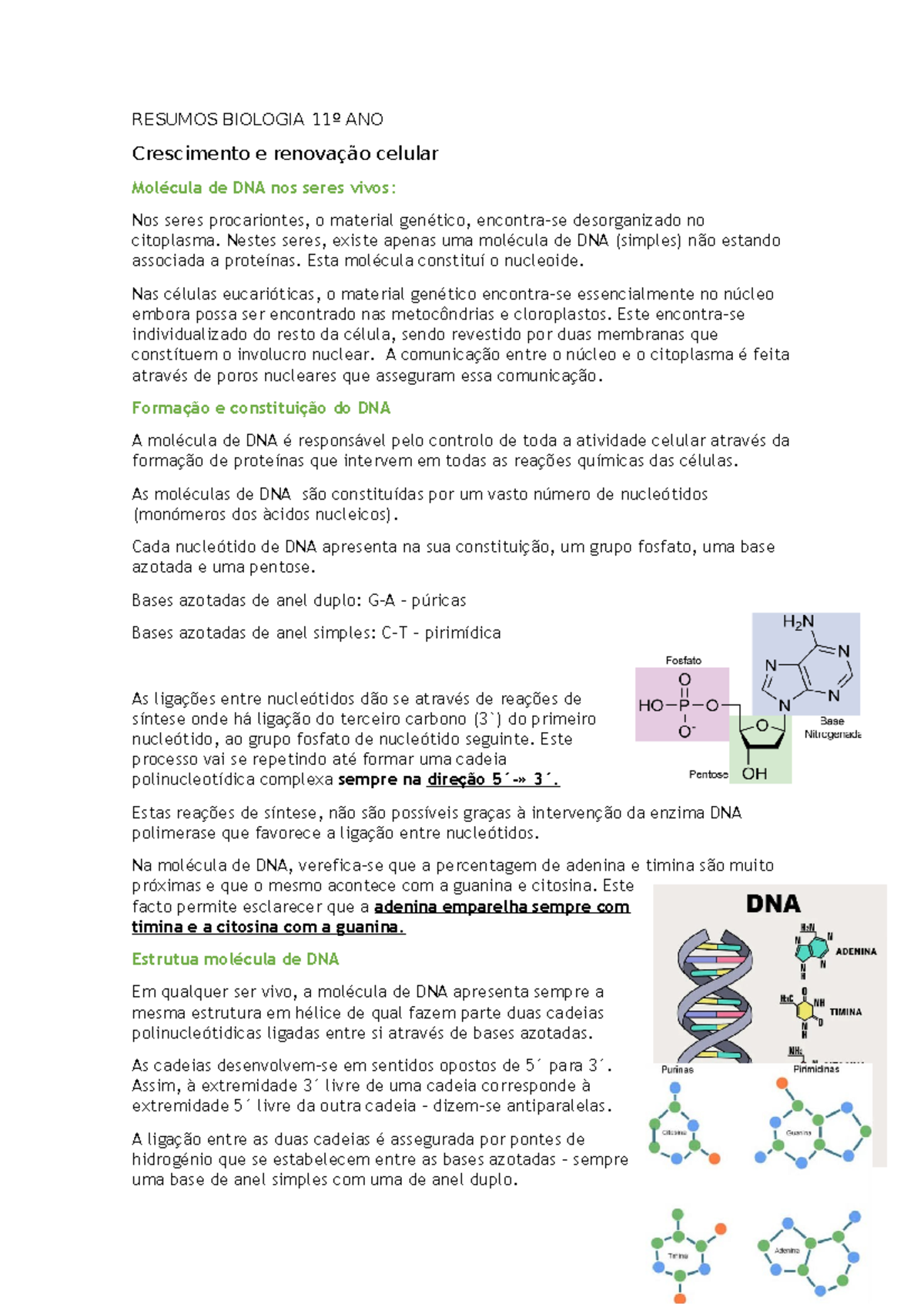 Resumos Biologia 11º ANO - RESUMOS BIOLOGIA 11º ANO Crescimento E ...