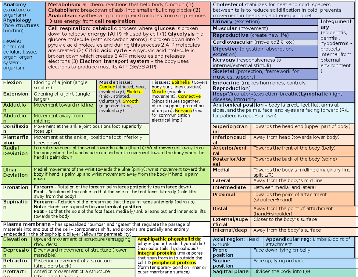 BIO151 Module Exam study guide - Anatomy (structure of organism ...