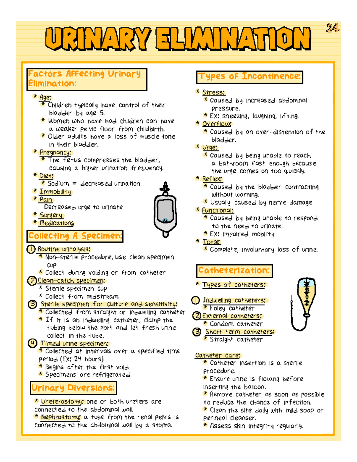 Urinary Elimination Complete Nursing Fundamentals - Urinary ...