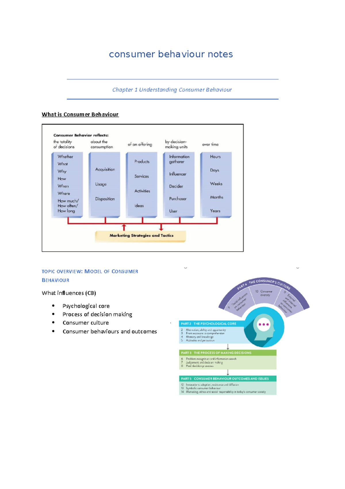 Consumer Behaviour Notes - Consumer Behaviour Notes Chapter 1 ...