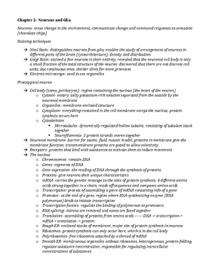 Neuro exam 2 - review notes (based off ppt) - 10.5 - exam 2 slide notes ...