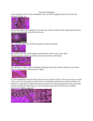 2Pt Map AB worksheet Mapping - Thumb 300 388 