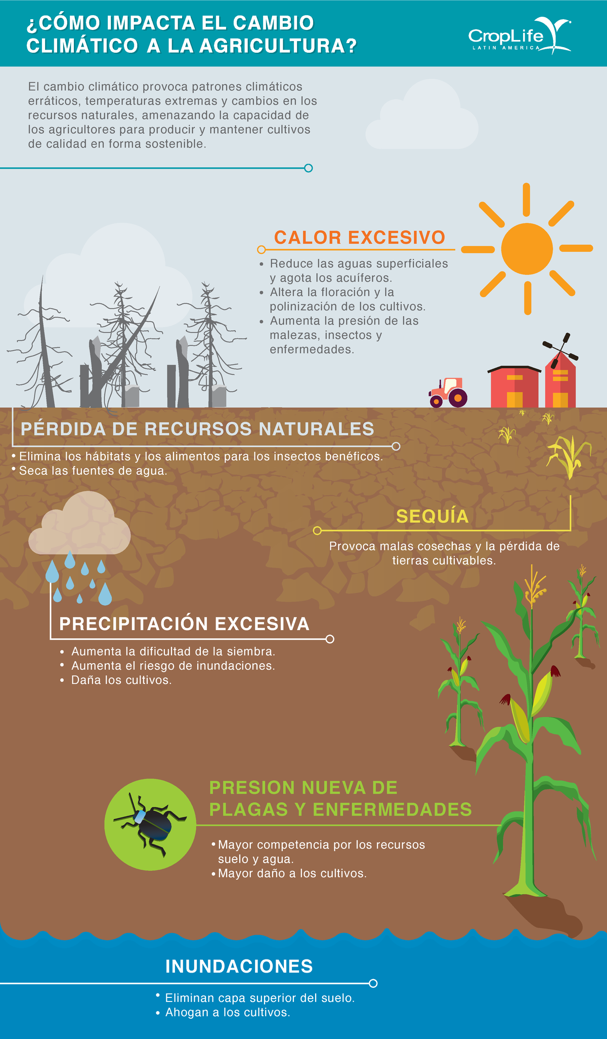 Impacto Climatico Y Agricultura El Cambio Climtico Provoca Patrones