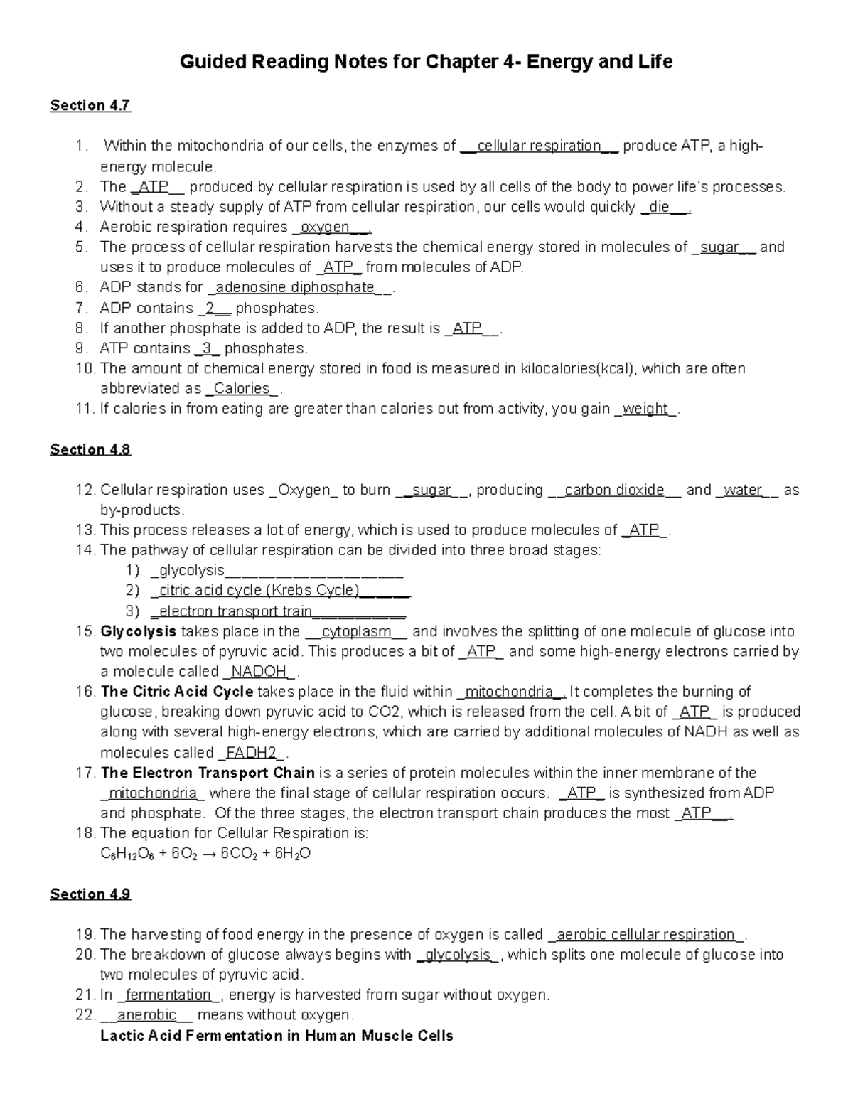 CH 4 HW Notes 4 - Homework Questions - Guided Reading Notes For Chapter ...