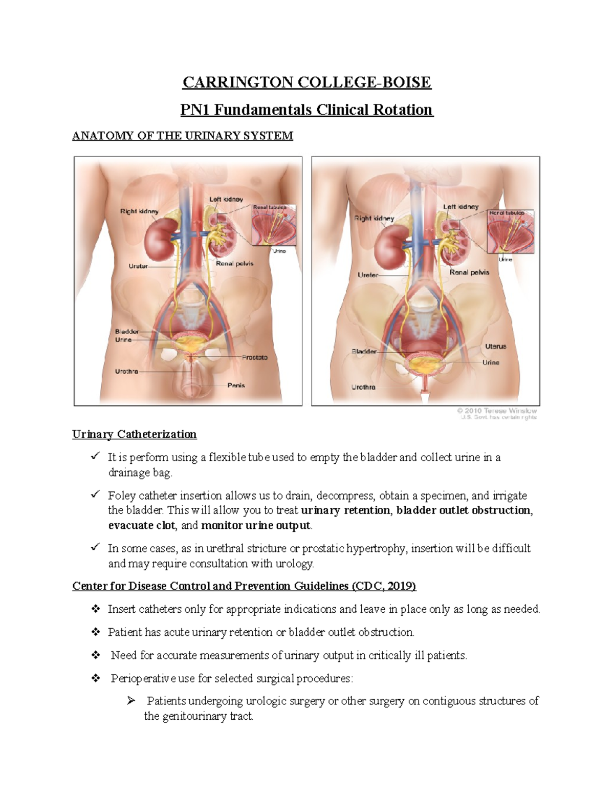 Urinary Catheterization Handout - CARRINGTON COLLEGE-BOISE PN1 ...