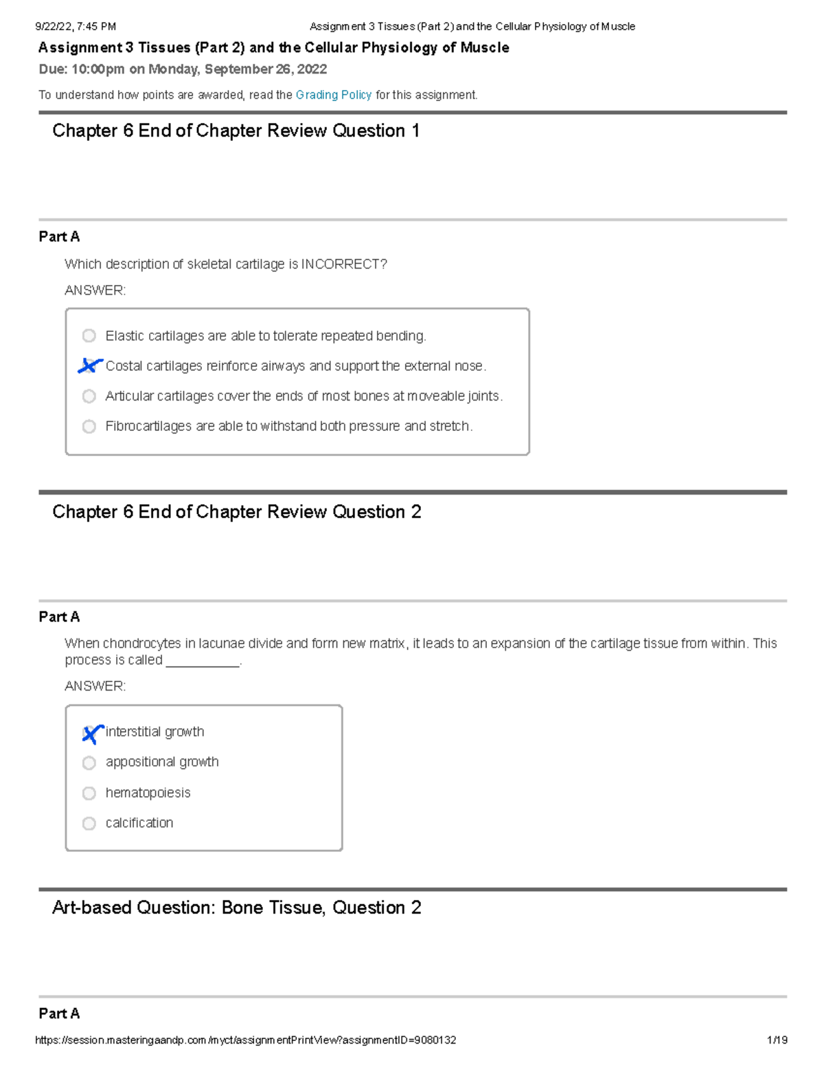 Assignment 3 Tissues (Part 2) and the Cellular Physiology of Muscle