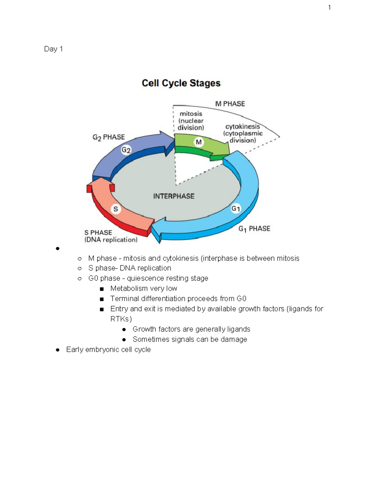 Test4 - 1 Day 1 M phase mitosis and cytokinesis (interphase is between ...