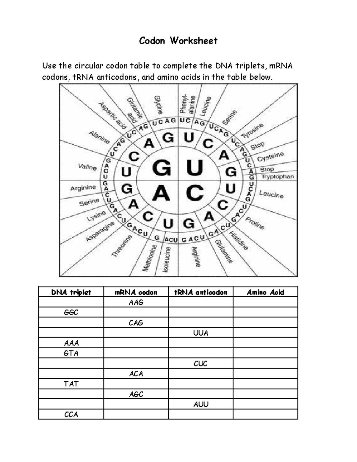 Codon Worksheet Codon Worksheet Use the circular codon table to