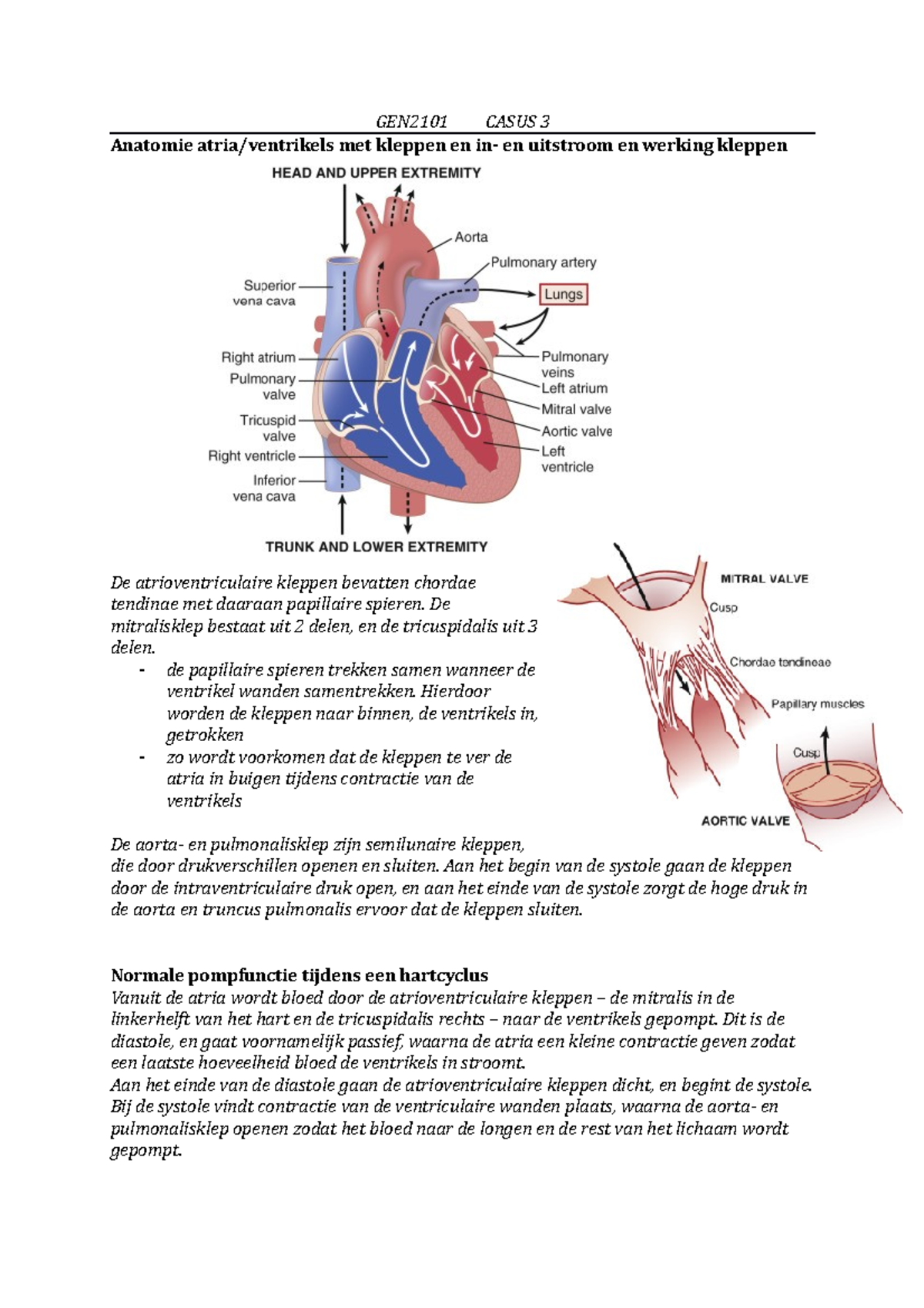 Gen2101casus 3 Blok 2 1 Casus 3 Gen2101 Casus 3 Anatomie Atria