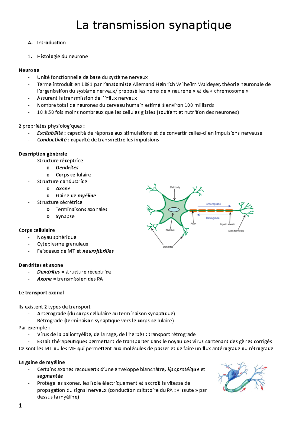 2.La Transmission Synaptique - Introduction Histologie Du Neurone ...