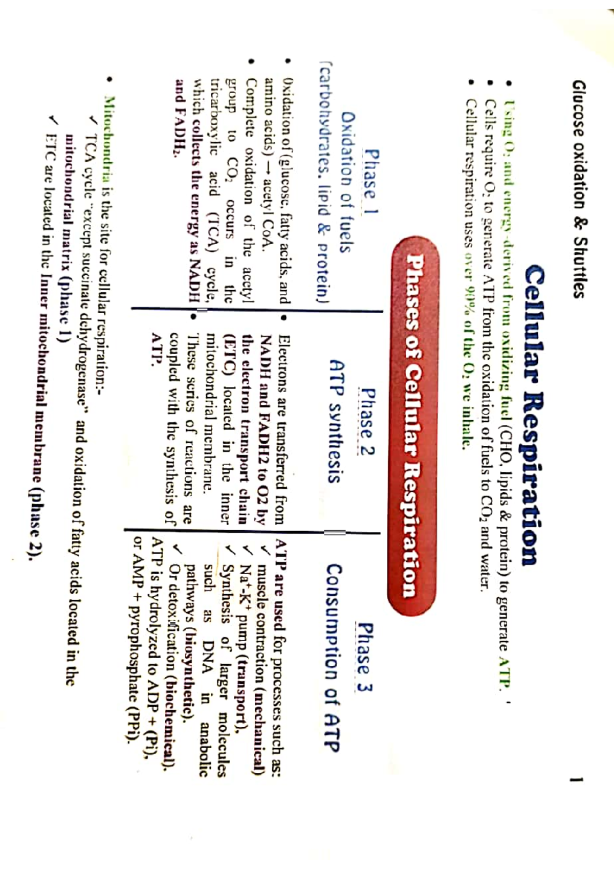 Bio a practice materials - Biochemistry II - Studocu