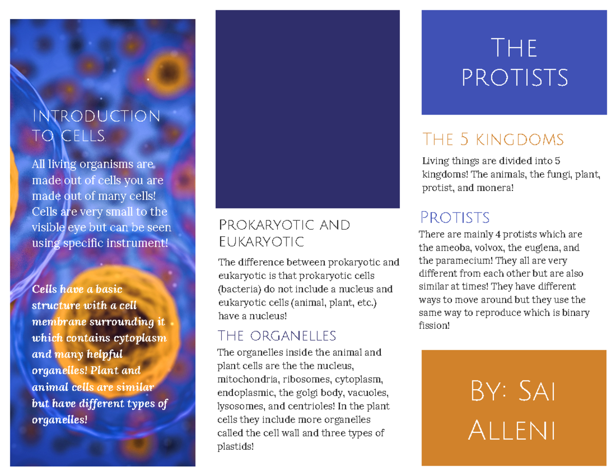 Cells Pamphlet Nzkssjjs Introduction to cells. All living organisms