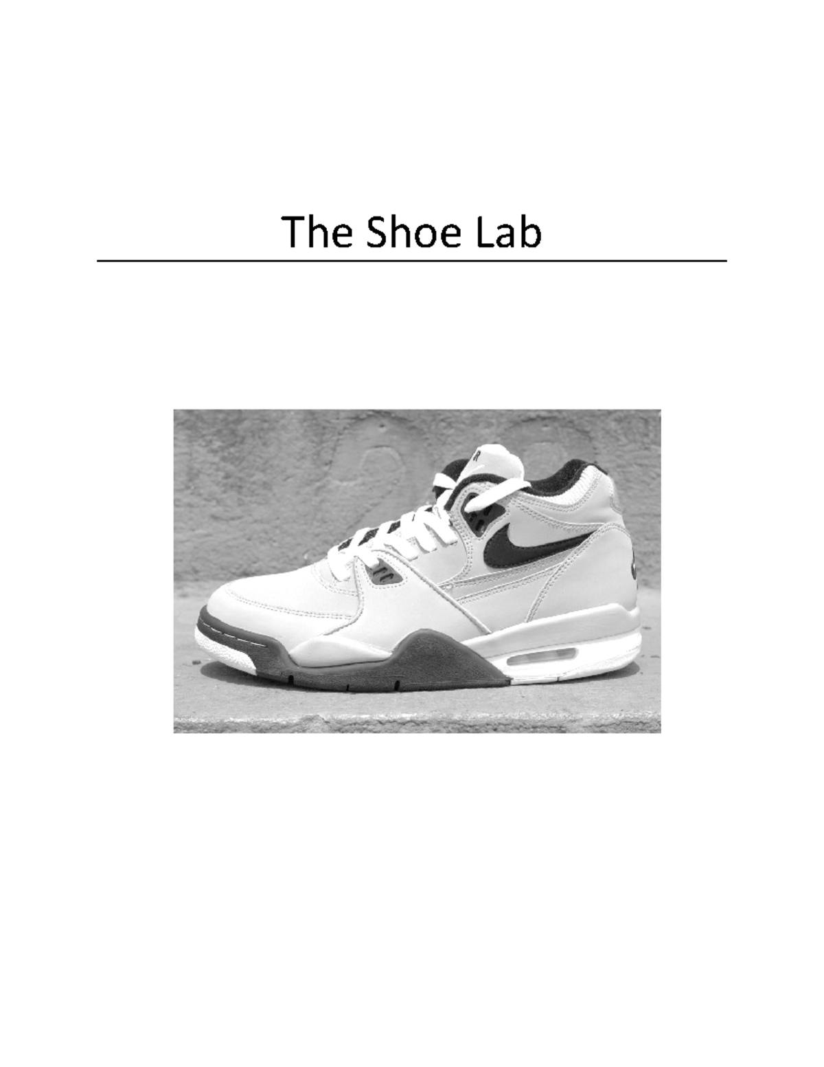 The Shoe Lab Study Guide The Shoe Lab Purpose The Purpose of this