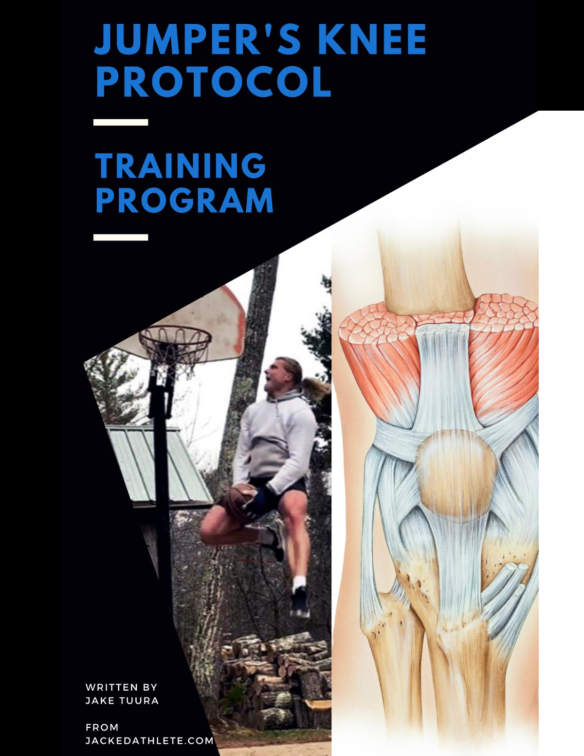 Jumper's Knee Protocol - Training Program 2022 - DISCLAIMER The ...
