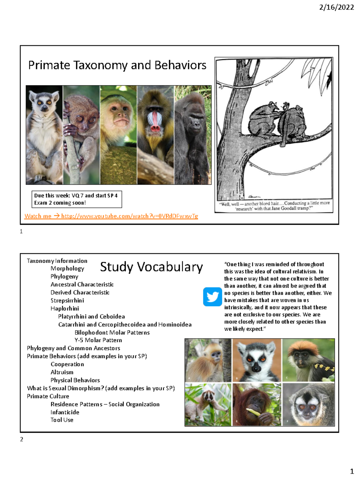 Lecture 7 Week 7 Primate Taxonomy and Behaviors Primate Taxonomy and Behaviors Watch me Studocu