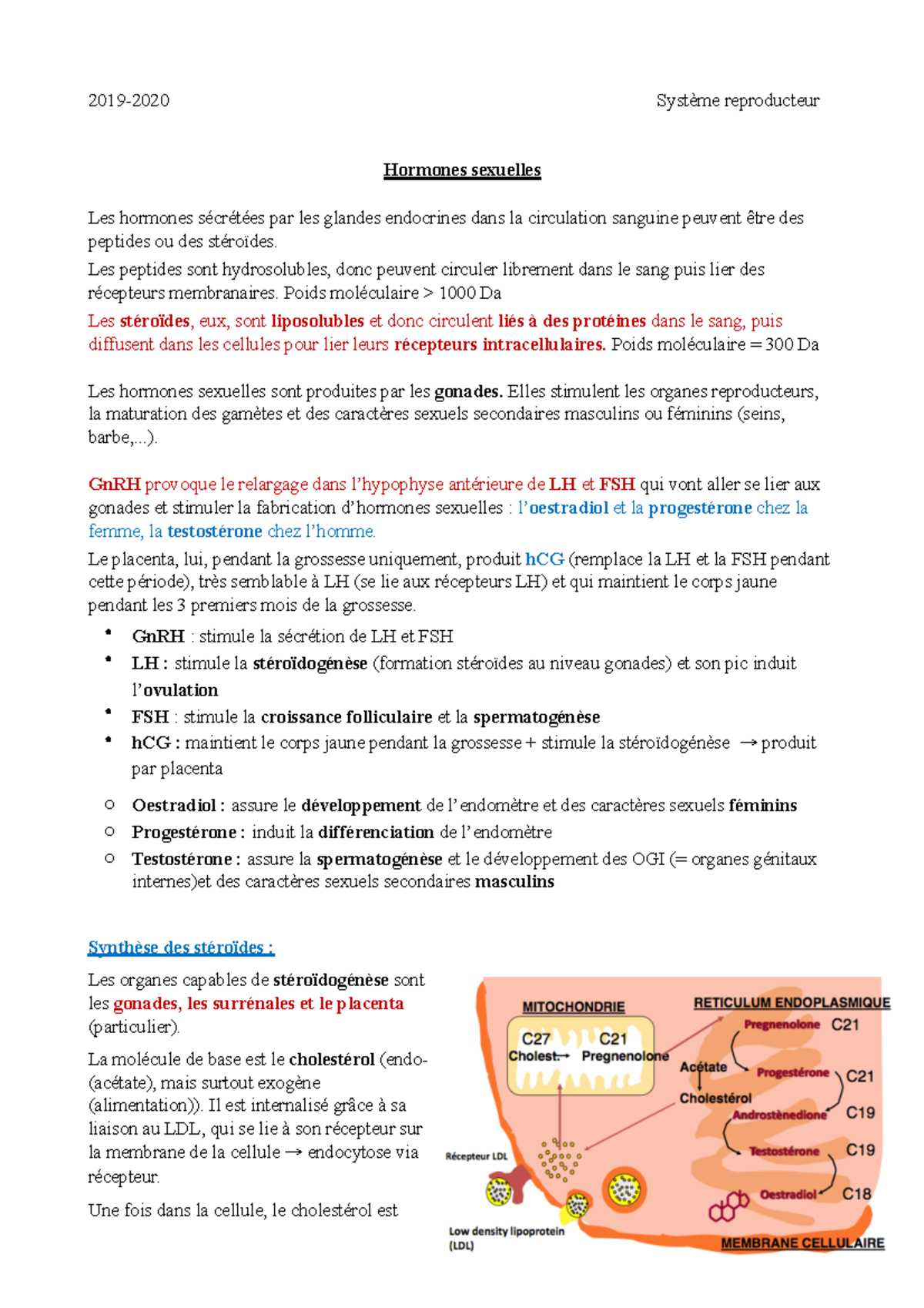 20 questions répondues sur belgique steroide