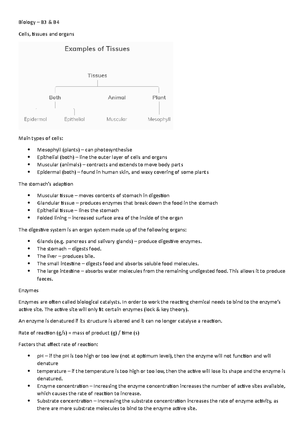 B3 Revision Notes - GCSE Biology - Biology – B3 & B Cells, Tissues And ...