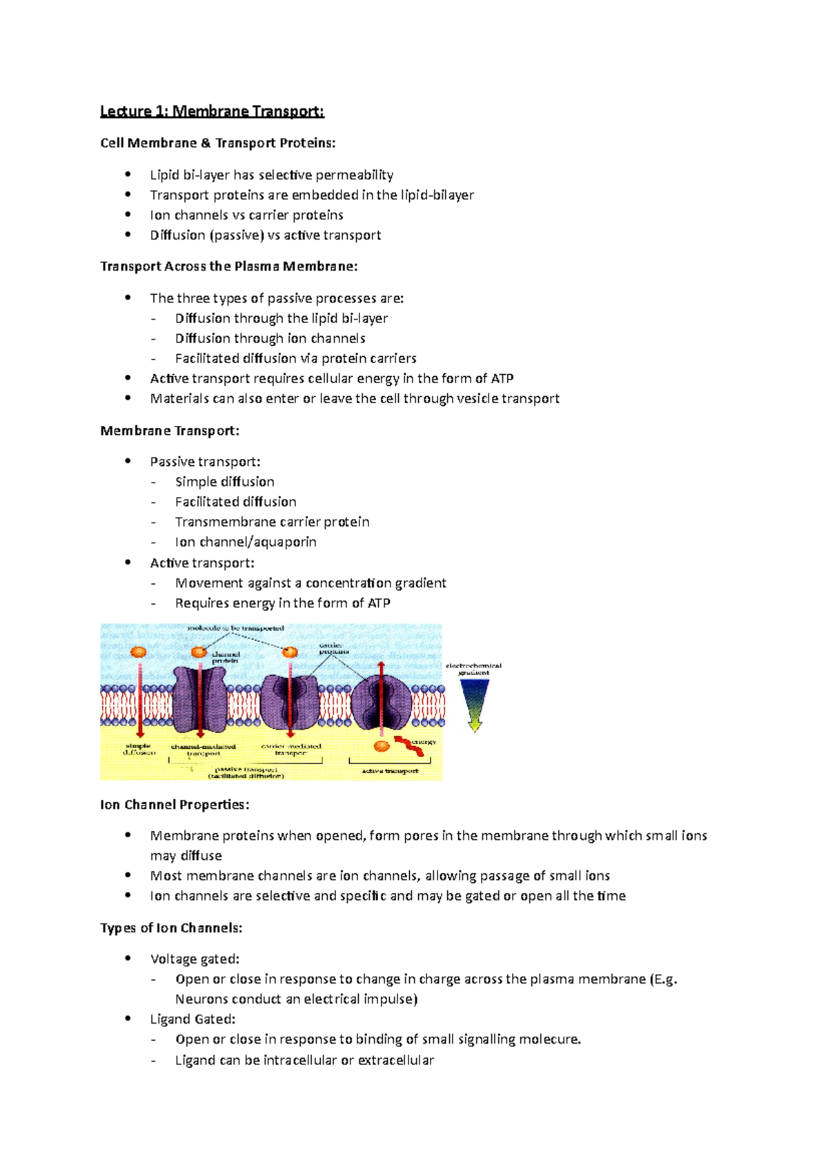 Physiological Systems Lecture Notes - Lecture 1: Membrane Transport ...