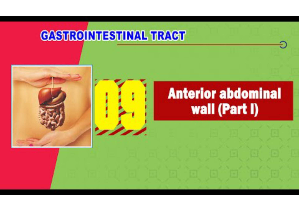 git-9-anterior-abdominal-wall-part-i-gastrointestinal-tract-o