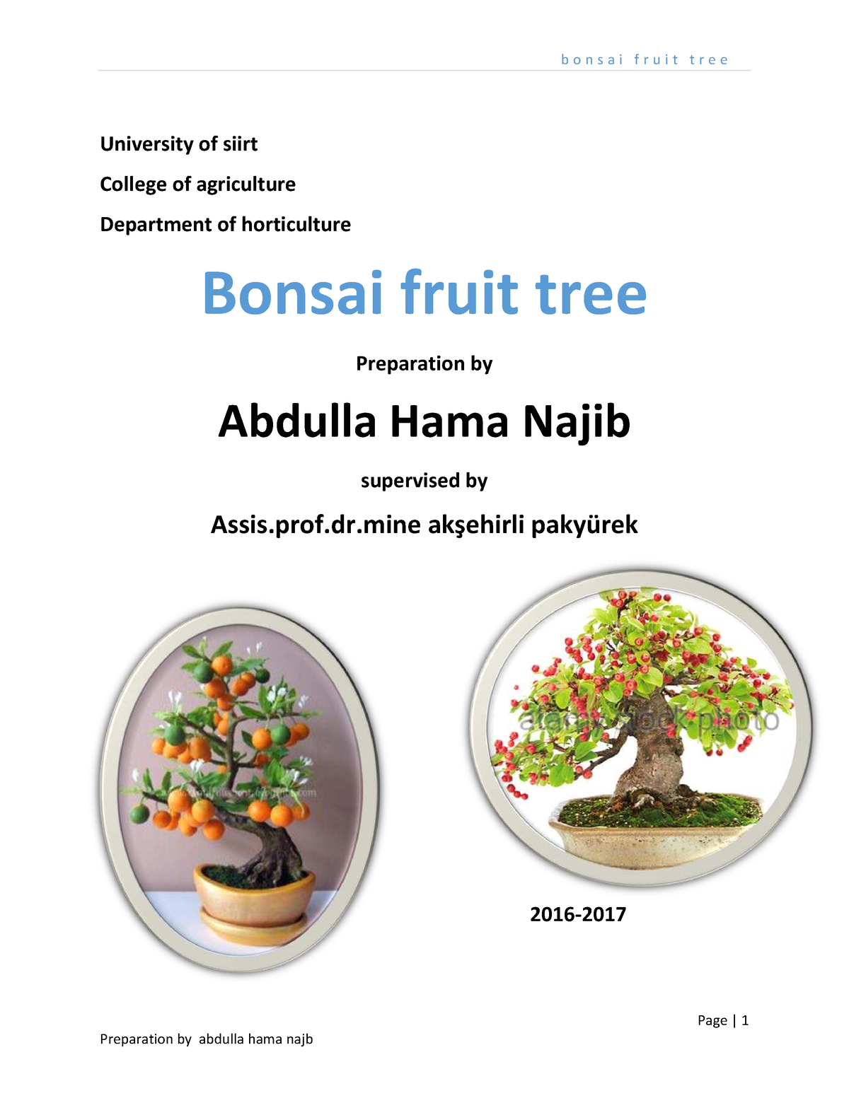 Bonsai fruit tree Preparation by - Page  1 University of siirt College of  agriculture Department of - Studocu