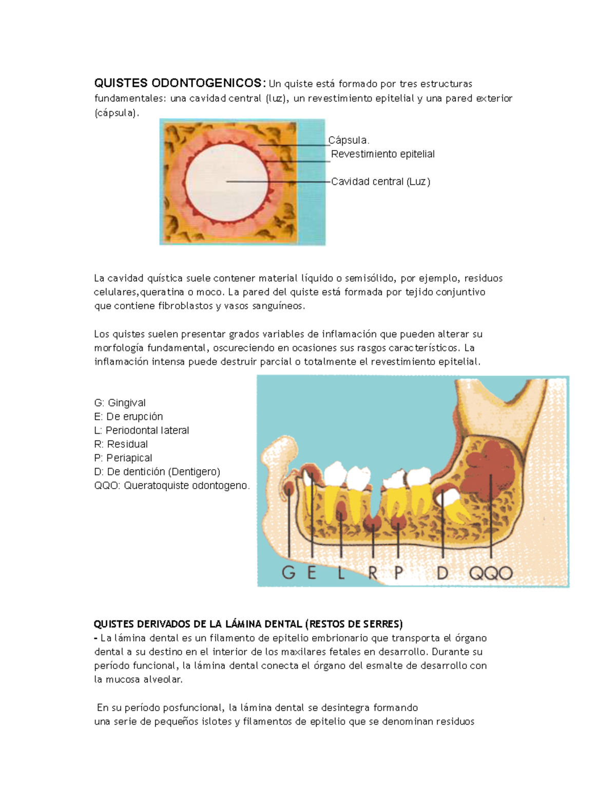 %F0%9F%A6%86logia%20%F0%9F%91%84 - QUISTES ODONTOGENICOS: Un quiste ...