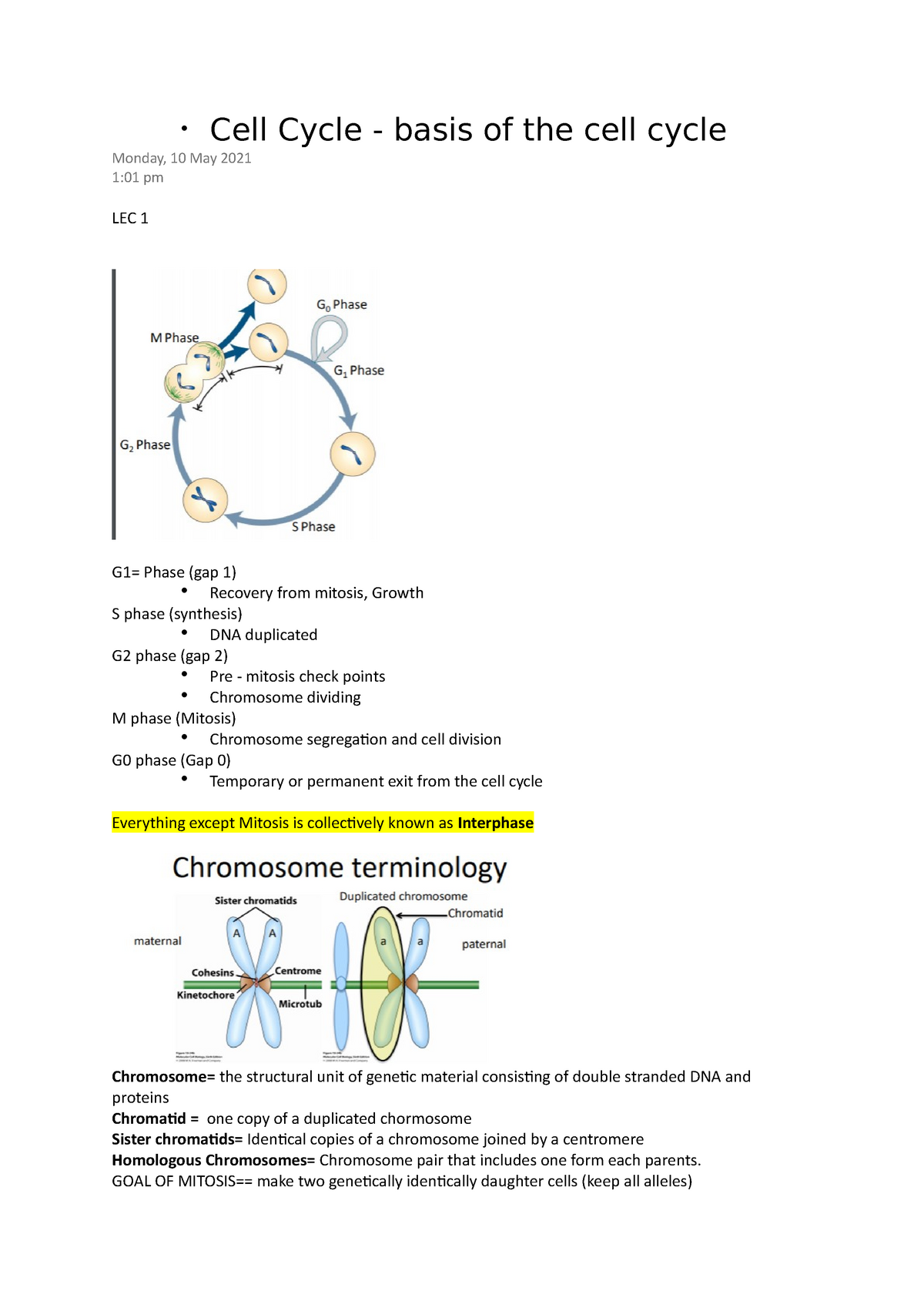 cell-cycle-goal-of-mitosis-make-two-genetically-identically