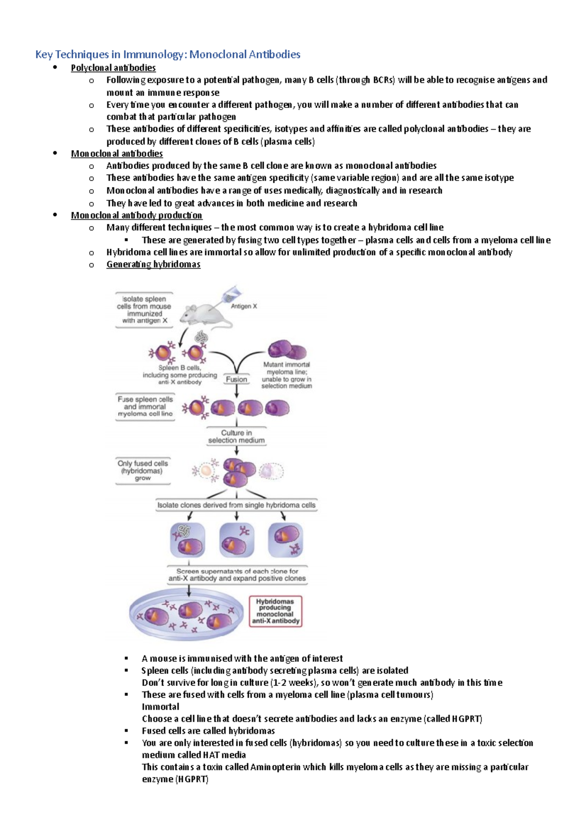 IMM2022 Notes - Key Techniques in Immunology: Monoclonal Antibodies ...