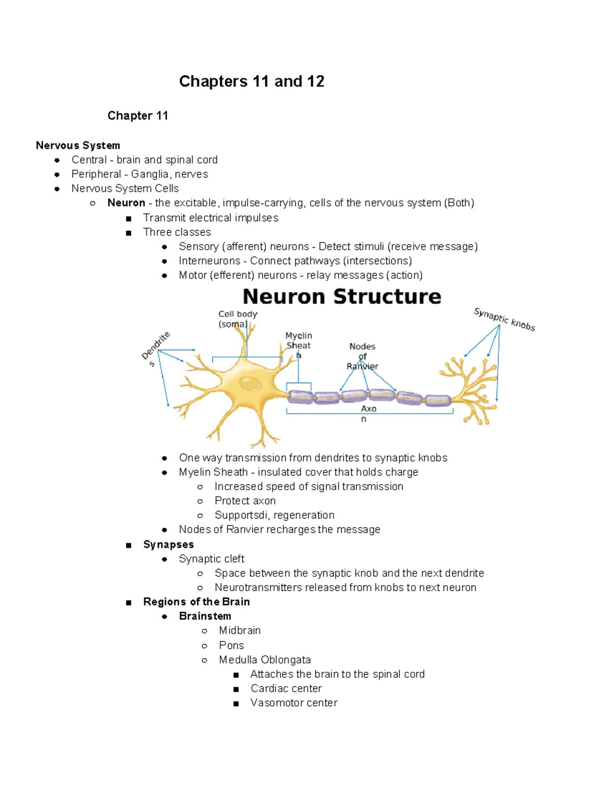 Unit 7 Class Notes - Chapters 11 and 12 Chapter 11 Nervous System ...