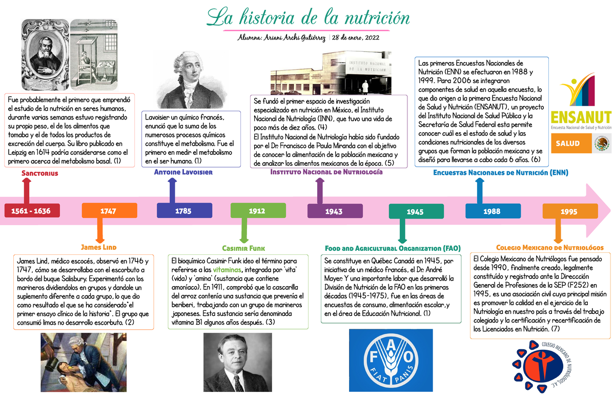 L Nea Del Tiempo Sobre La Historia De La Nutrici N Ariani Archi Sanct