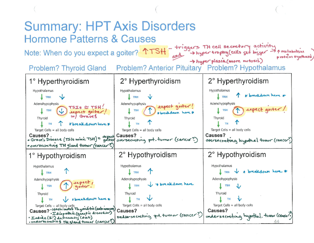 hpt-disorder-key-practice-bio-12-studocu